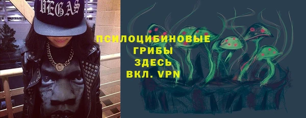 индика Нея