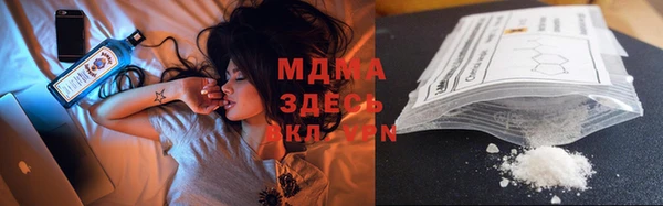 индика Нея