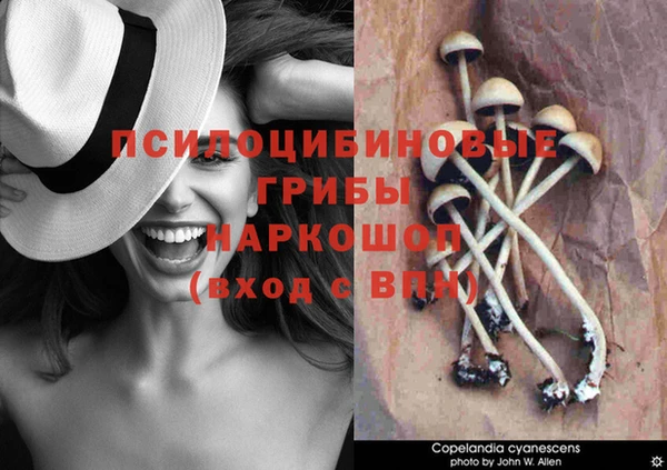 индика Нея