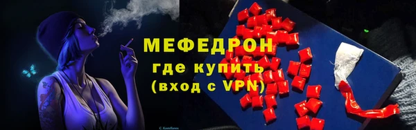 индика Нея