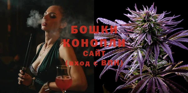 индика Нея