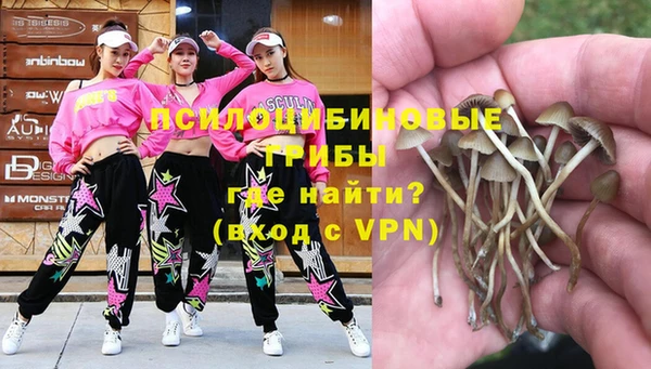 индика Нея