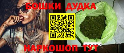 твердый Бийск