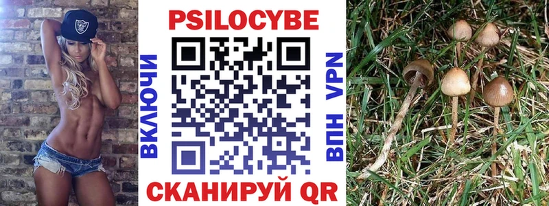 мега как зайти  Лиски  мориарти формула  Псилоцибиновые грибы Cubensis 