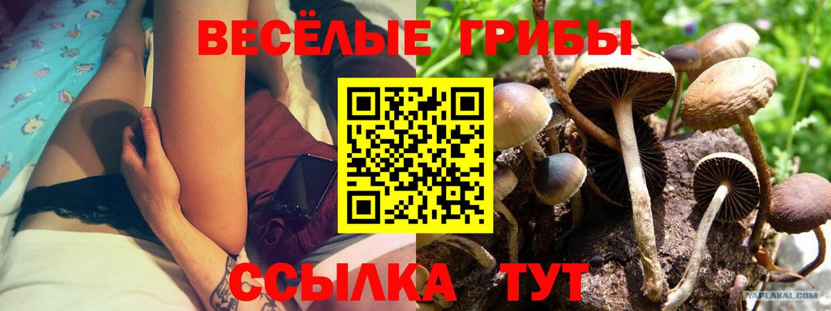 Лиски  Псилоцибиновые грибы Psilocybine cubensis  Вход с VPN 